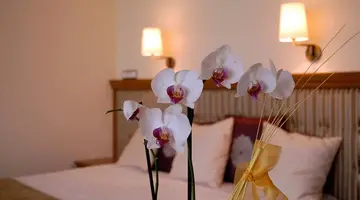 Aphrodite Hotel