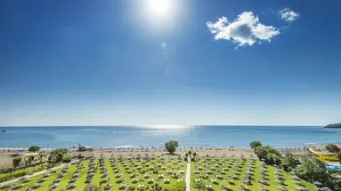 Apollo Beach