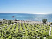 Apollo Beach
