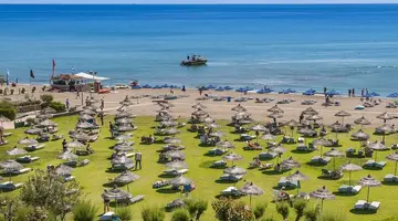Apollo Beach