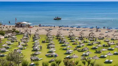 Apollo Beach