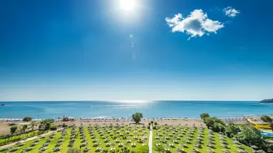 APOLLO BEACH