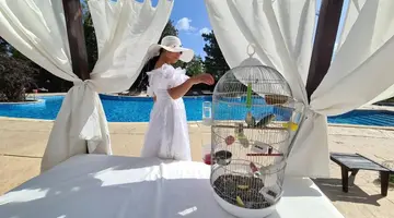 Apollo Spa Resort
