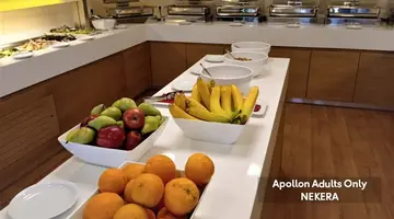 Apollon Hotel Ag.Nik.