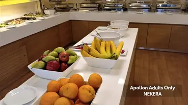 Apollon Hotel Ag.Nik.