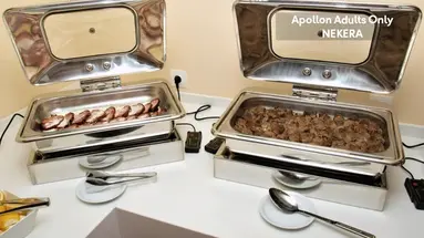 Apollon Hotel Ag.Nik.