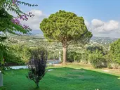 Apollon Hotel Apartments