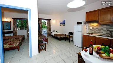 Apollon Hotel & Apts Reth.