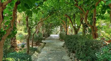 Apollonia Beach Resort and Spa