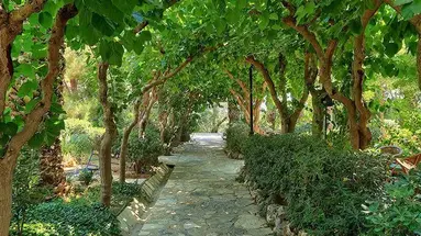 APOLLONIA BEACH RESORT & SPA