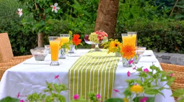 Apollonia Resort & Spa