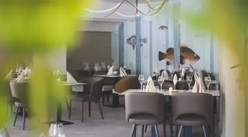 Aqua Club GRIFID Bolero