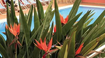 AQUA HOTEL BERTRAN PARK - LLORET DE MAR #