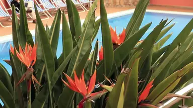 AQUA HOTEL BERTRAN PARK - LLORET DE MAR #