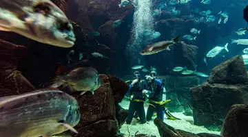 Aqua Natura Madeira Hotel