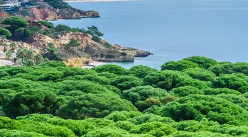 Aqua Pedra dos Bicos Design Beach -Adults Friendly