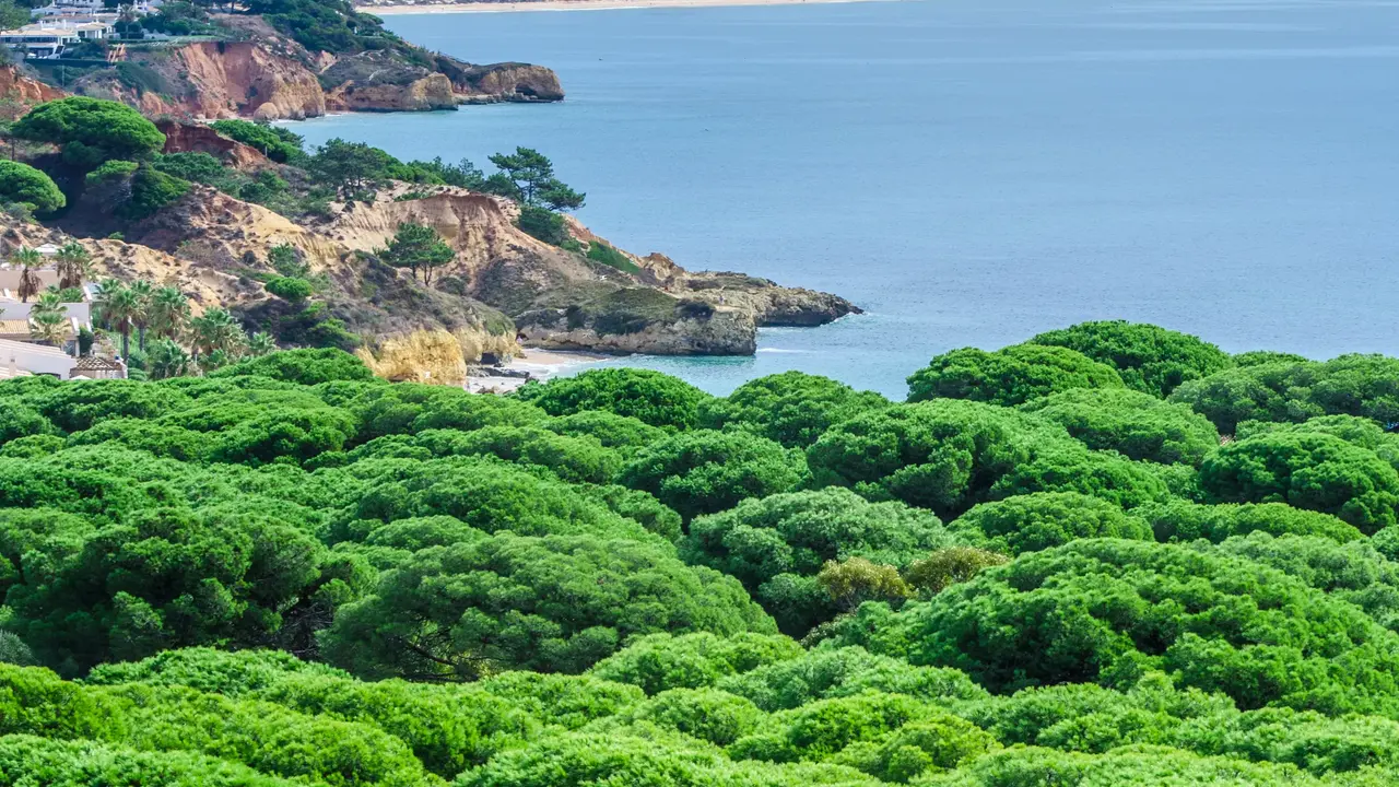 Aqua Pedra dos Bicos Design Beach -Adults Friendly