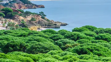 Aqua Pedra dos Bicos Design Beach -Adults Friendly