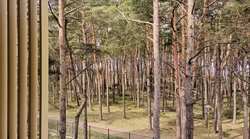 Aquamarina Dąbki