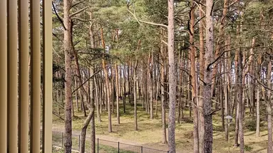 Aquamarina Dąbki