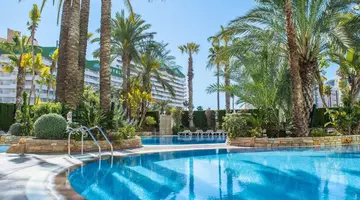 AR Diamante Beach