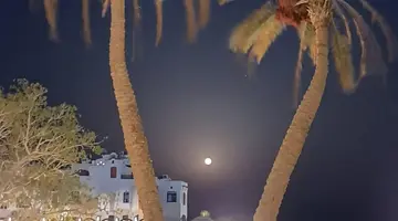 Arabella Azur Resort****