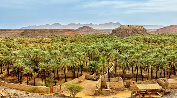 Arabia Saudyjska - Absolut Arabskiego Świata