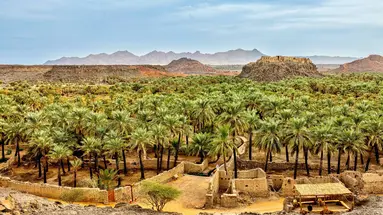 Arabia Saudyjska - Absolut Arabskiego Świata