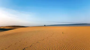 Arabskie Dynastie