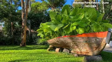 Arbatax Park Resort - Dune