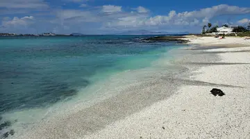 Arena Beach