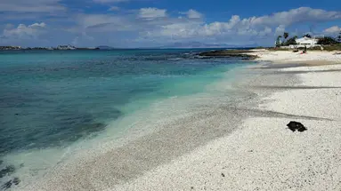 Arena Beach