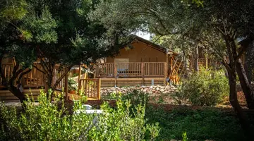 Arena One 99 Glamping
