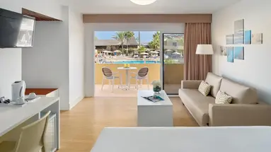 Arena Suite