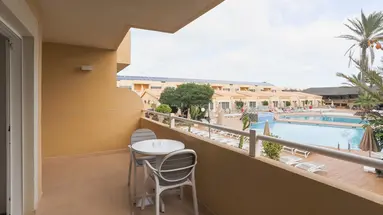 Arena Suite
