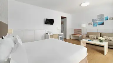 Arena Suite