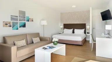 Arena Suite
