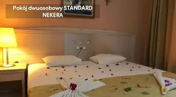 ARES DREAM HOTEL
