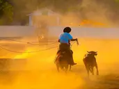 Argentyna i Brazylia