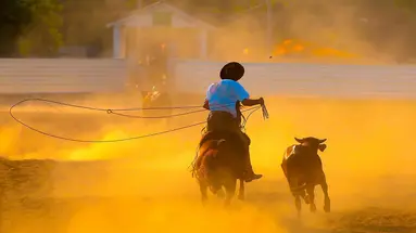 Argentyna i Brazylia