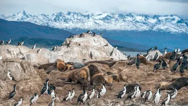 Argentyna i Chile - na końcu świata