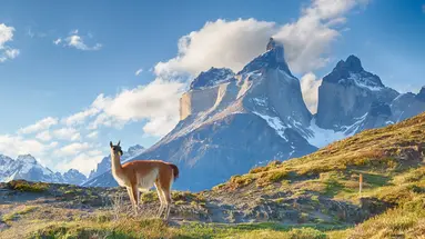 Argentyna i Chile - na końcu świata