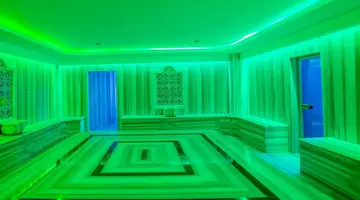 ARIA RESORT & SPA