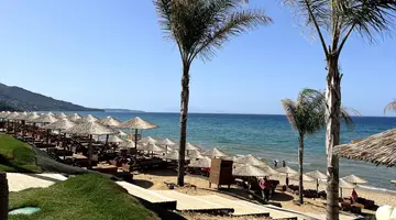Arion Resort