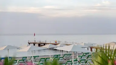 Armas Labada