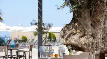 Arminda Hotel & Spa