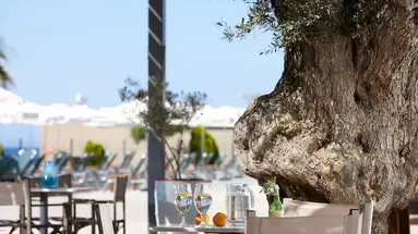 Arminda Hotel & Spa