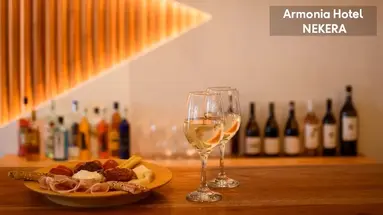 Armonia Hotel