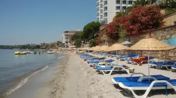 ARORA HOTEL