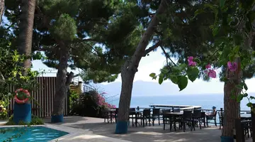 Arora Hotel